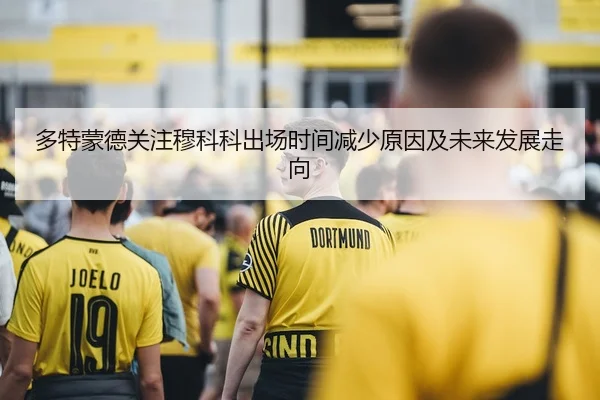 多特蒙德关注穆科科出场时间减少原因及未来发展走向